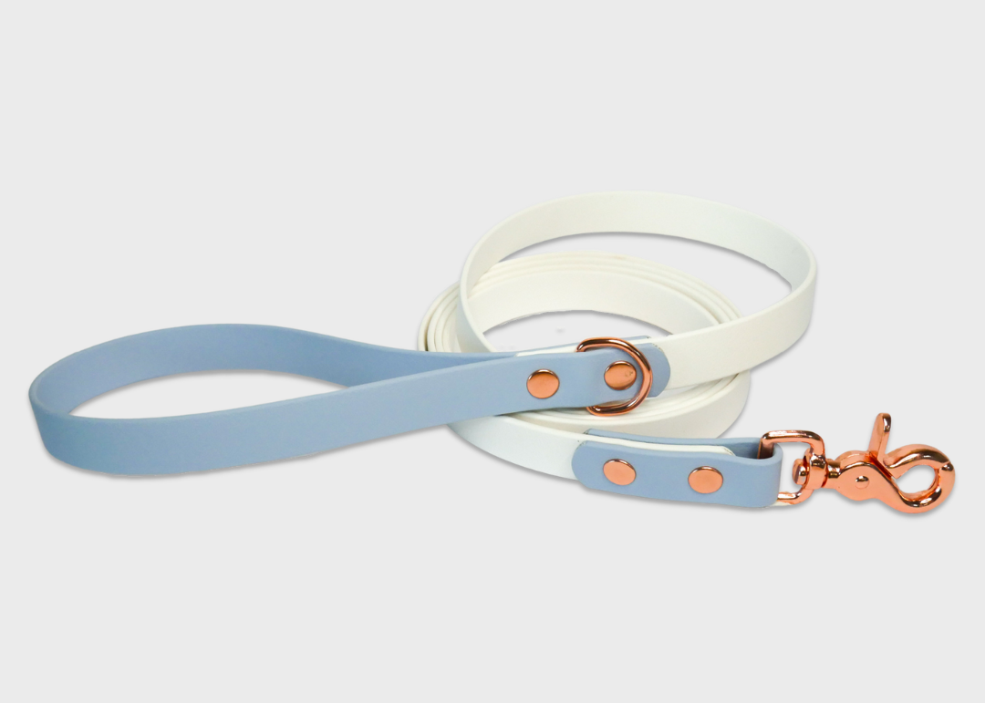 City Leash (2 meters) *30% OFF!
