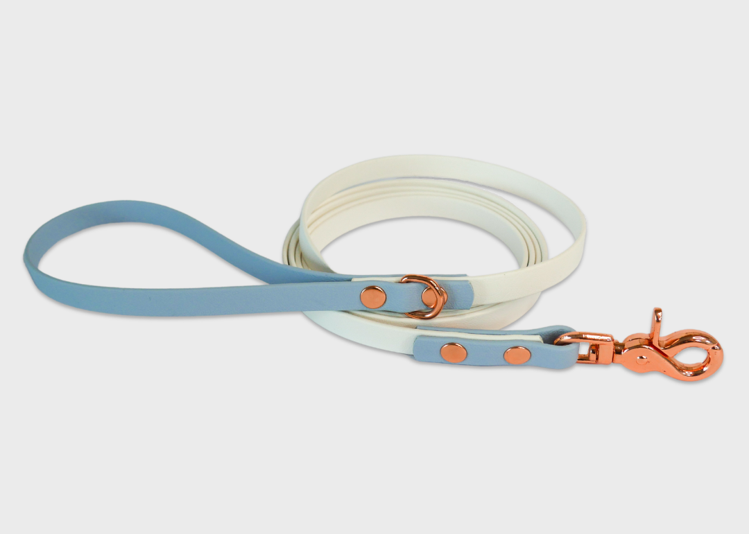 City Leash (2 meters) *30% OFF!