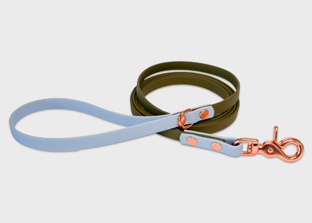City Leash (2 meters) *30% OFF!