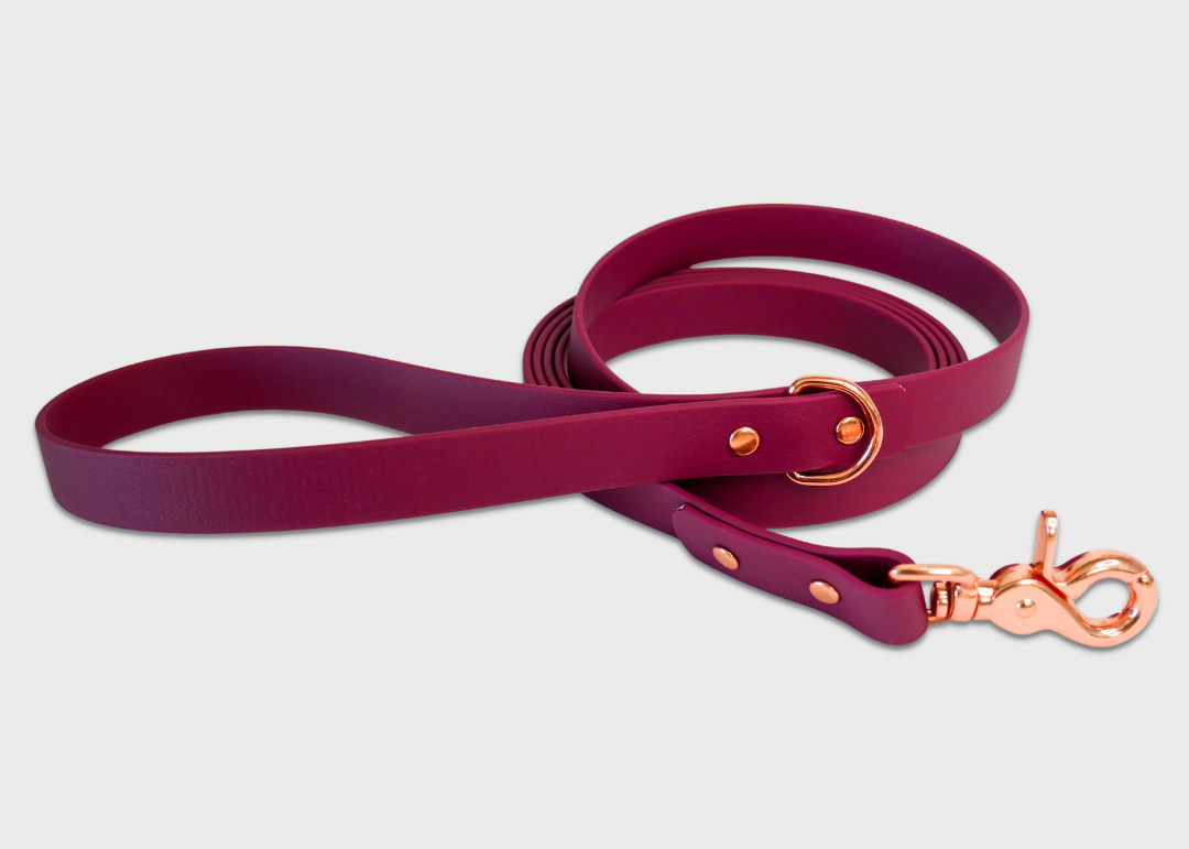 City Leash (2 meters) *30% OFF!