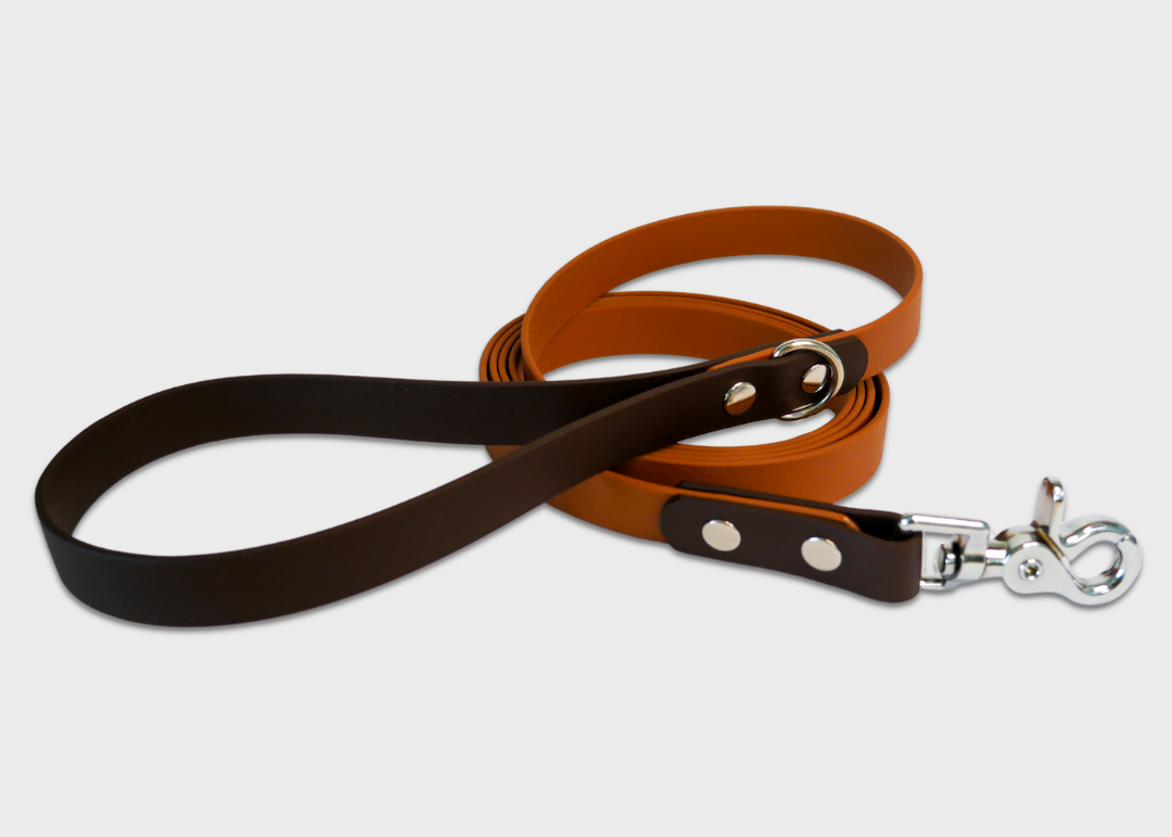 City Leash (2 meters) *30% OFF!
