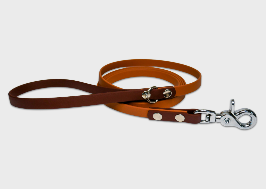 City Leash (2 meters) *30% OFF!