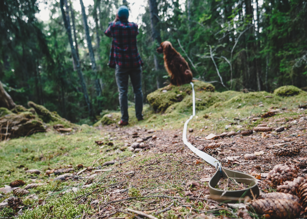 Trail Leash | 5 meters