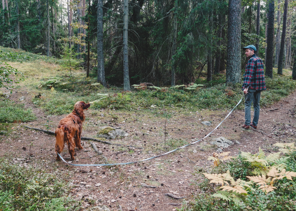 Trail Leash | 5 meters