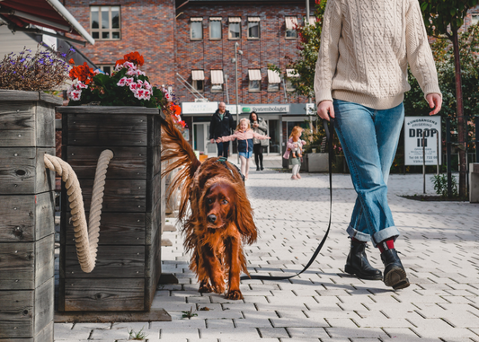 City Leash | 2 meters