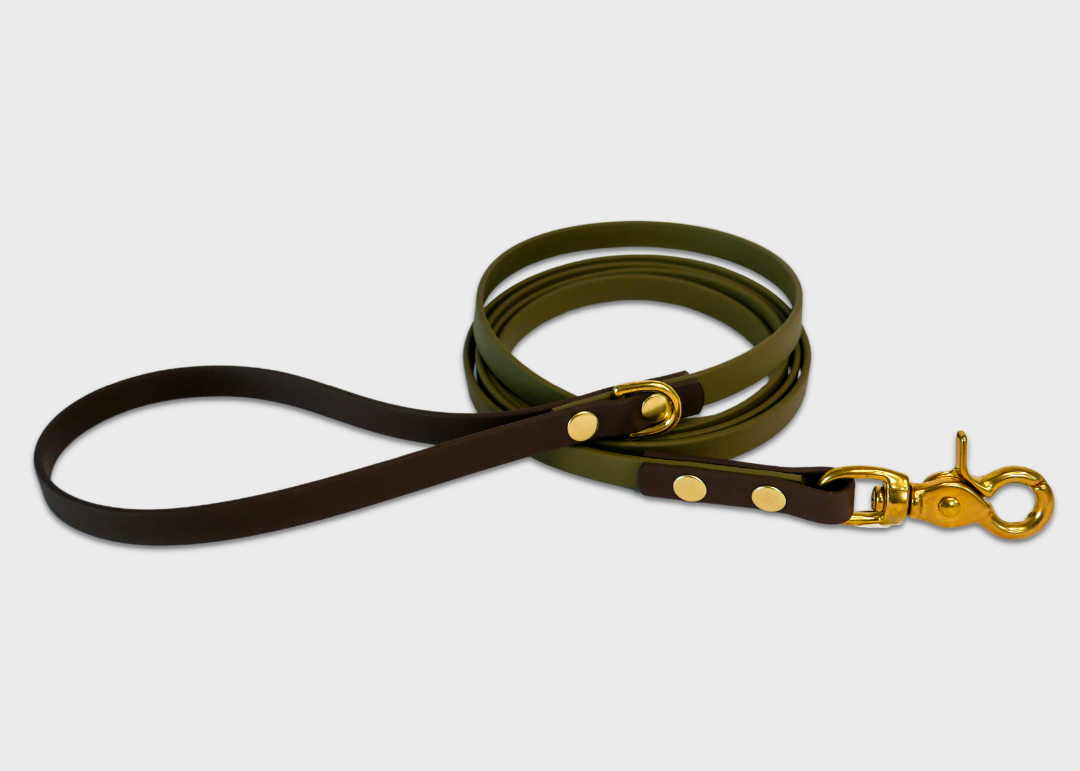City Leash | 2 meters