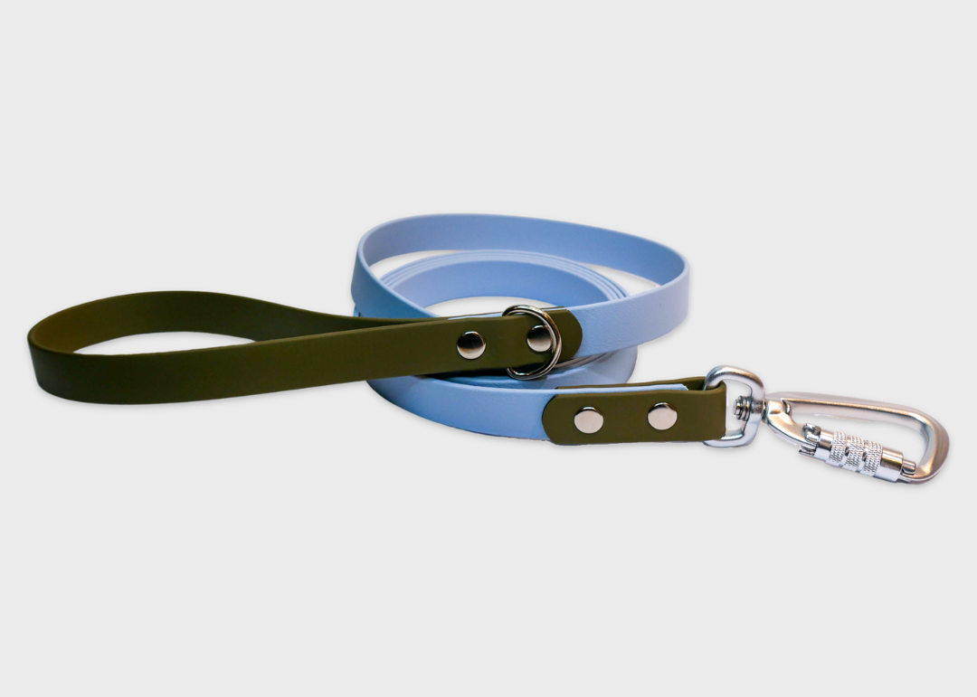 City Leash | 2 meters