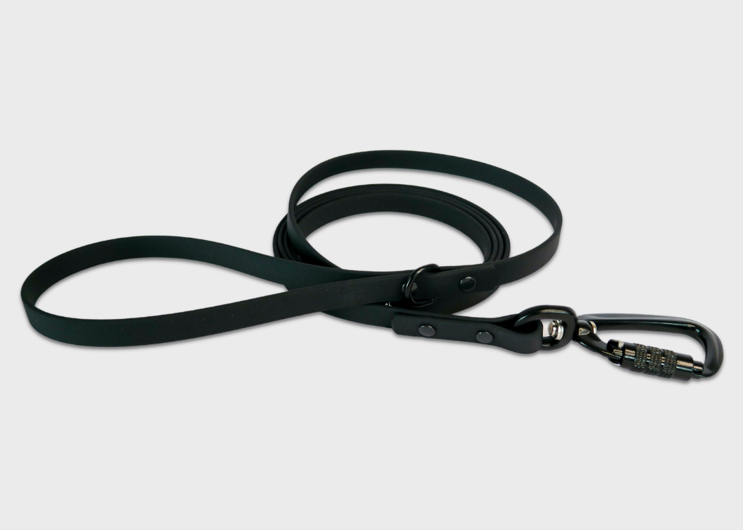 City Leash | 2 meters