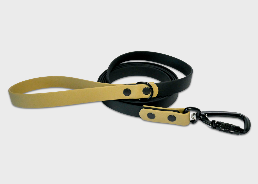 City Leash | 2 meters