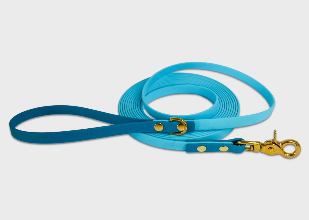Trail Leash | 5 meters