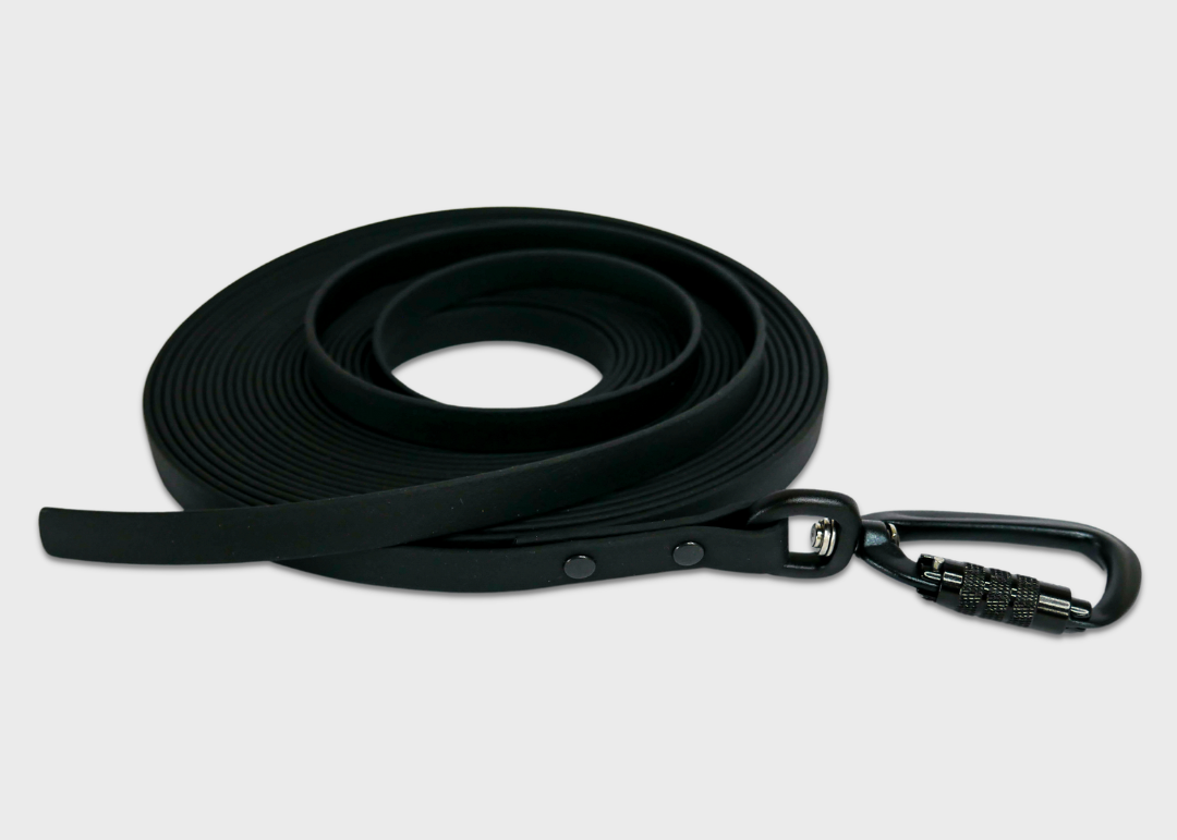 Field Leash | 10 meters