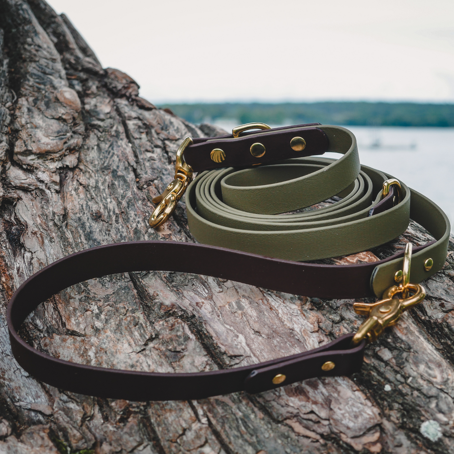 Leashes