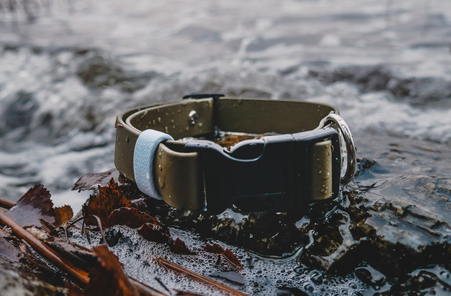 Collars & harnesses