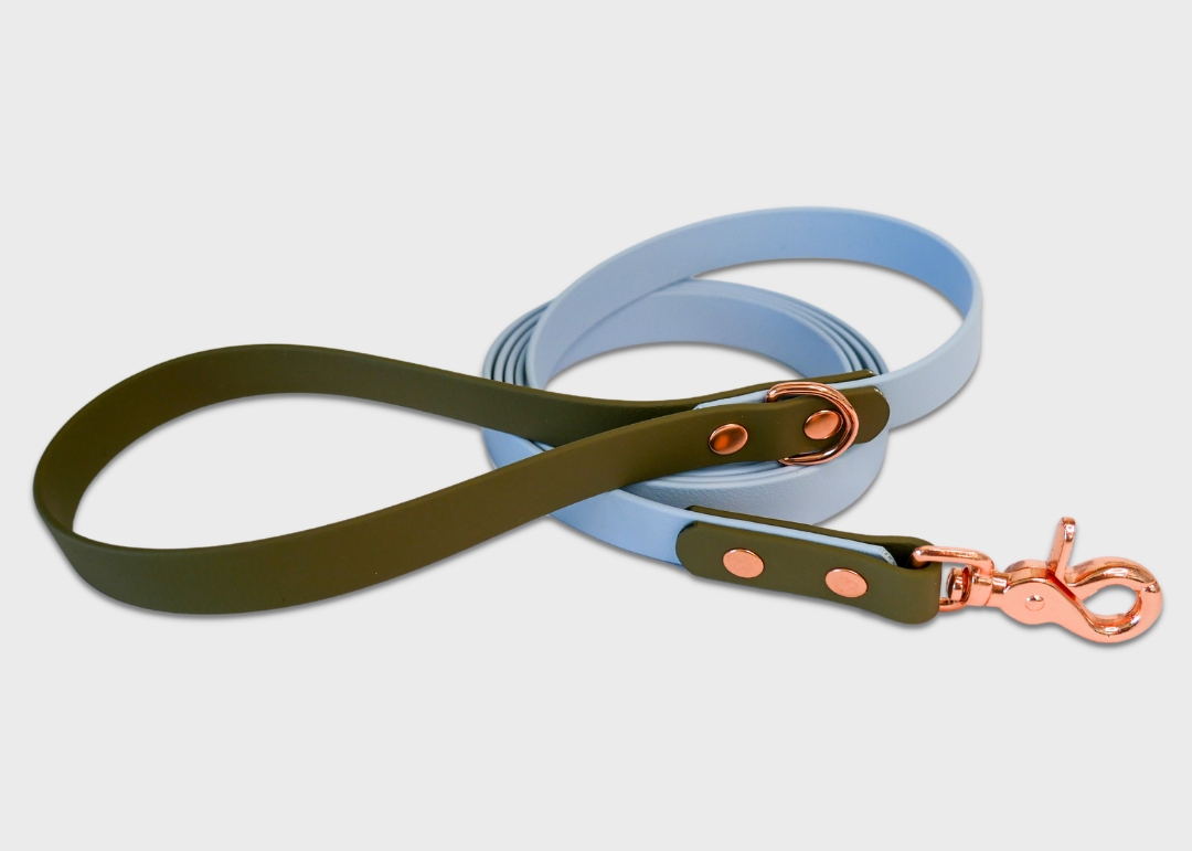 City Leash (2 meters) *30% OFF!