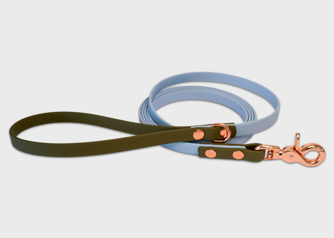 City Leash (2 meters) *30% OFF!