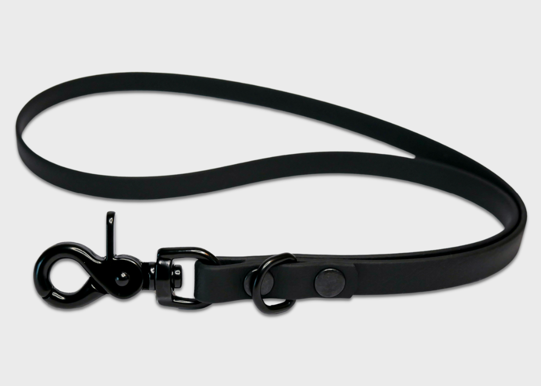 Lanyard