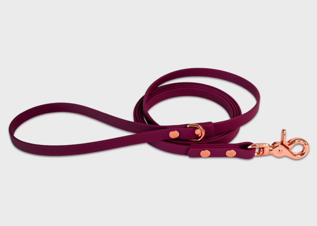 City Leash (2 meters) *30% OFF!