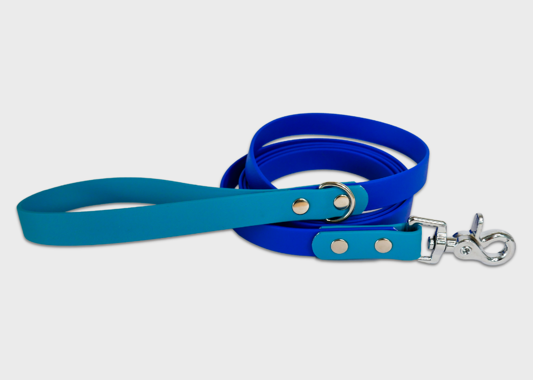 City Leash (2 meters) *30% OFF!