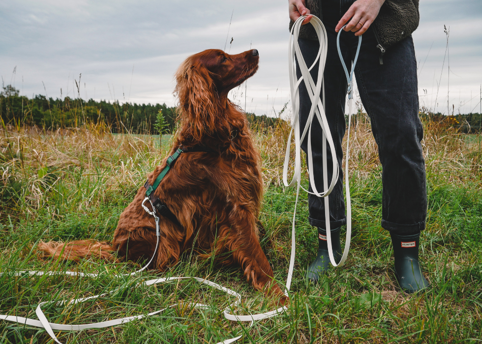 Field Leash (10 meters)