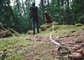 Trail Leash | 5 meters