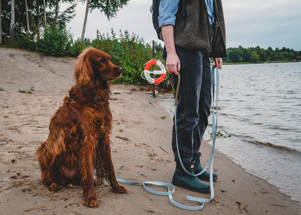 Trail Leash (5 meters)