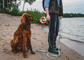 Trail Leash | 5 meters