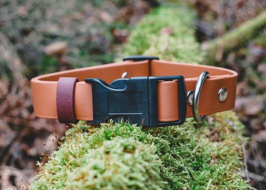 Adjustable Collar