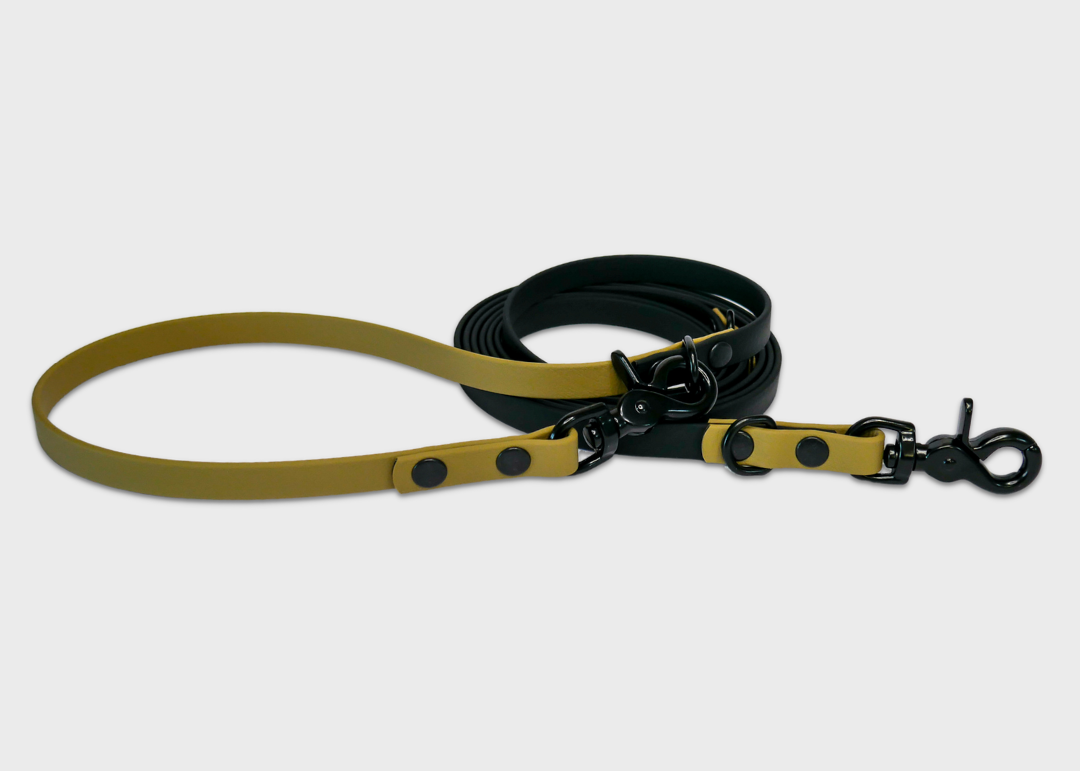 Multi Leash (4-in-1)