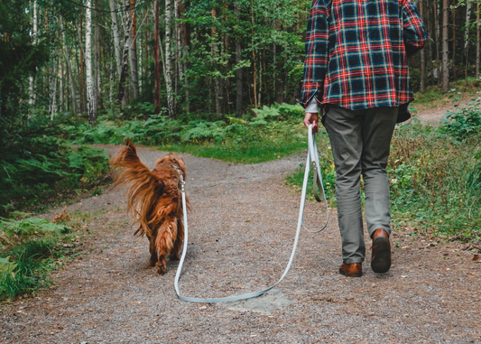Trail Leash | 5 meters