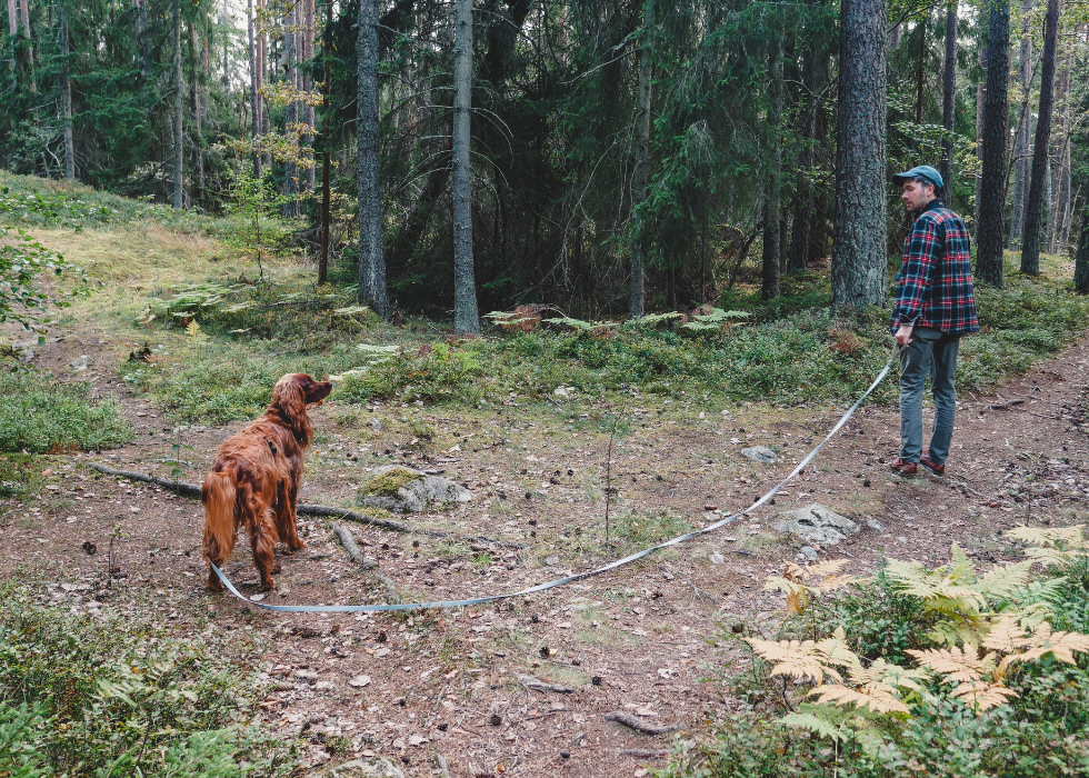 Trail Leash (5 meters)