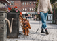 City Leash | 2 meters