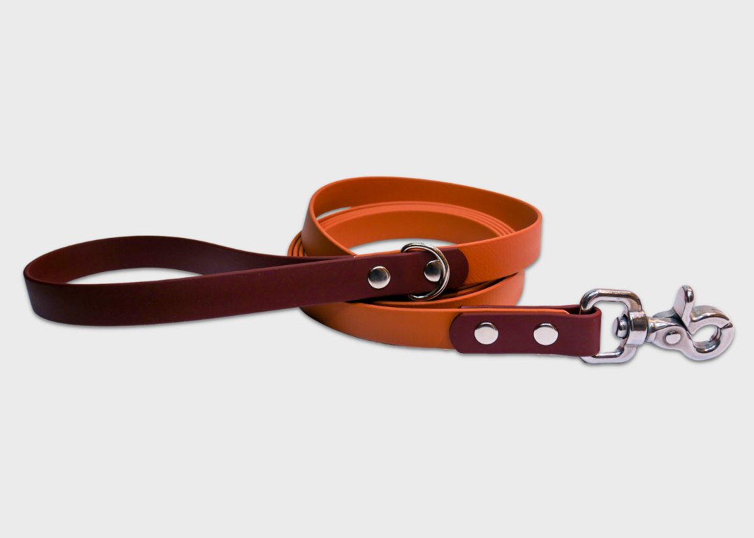 City Leash (2 meters)