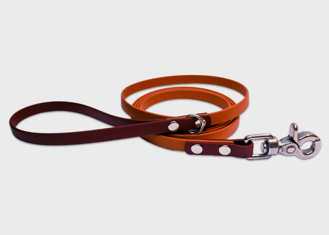 City Leash (2 meters)