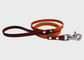 City Leash | 2 meters