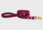City Leash | 2 meters