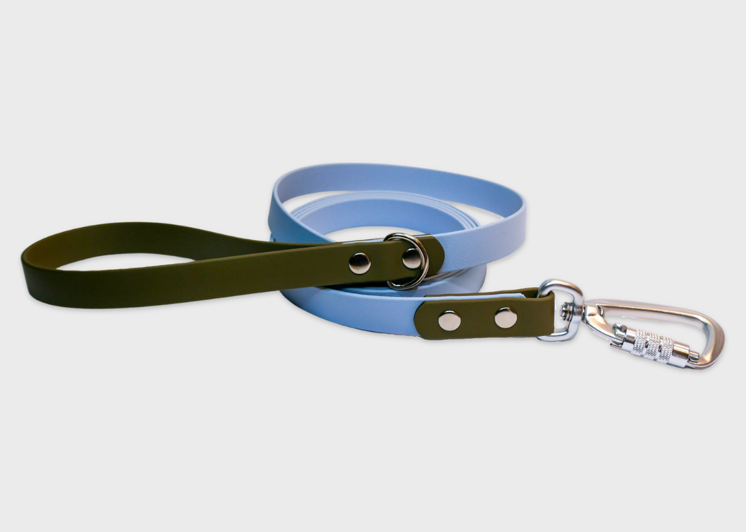 City Leash (2 meters)