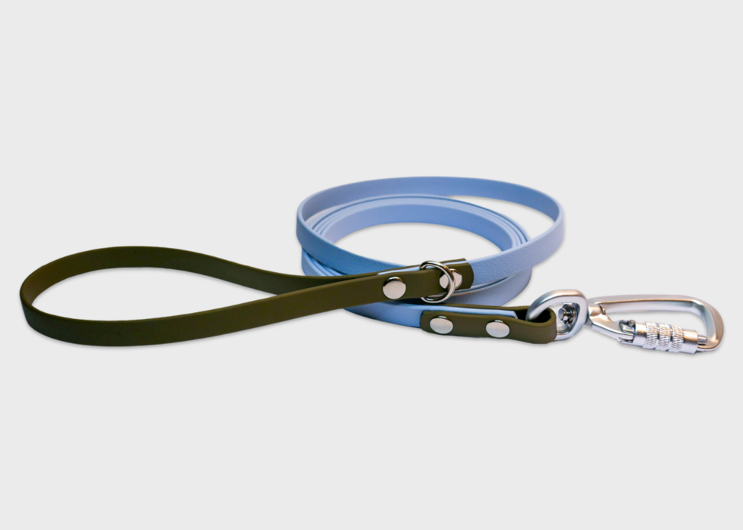 City Leash (2 meters)