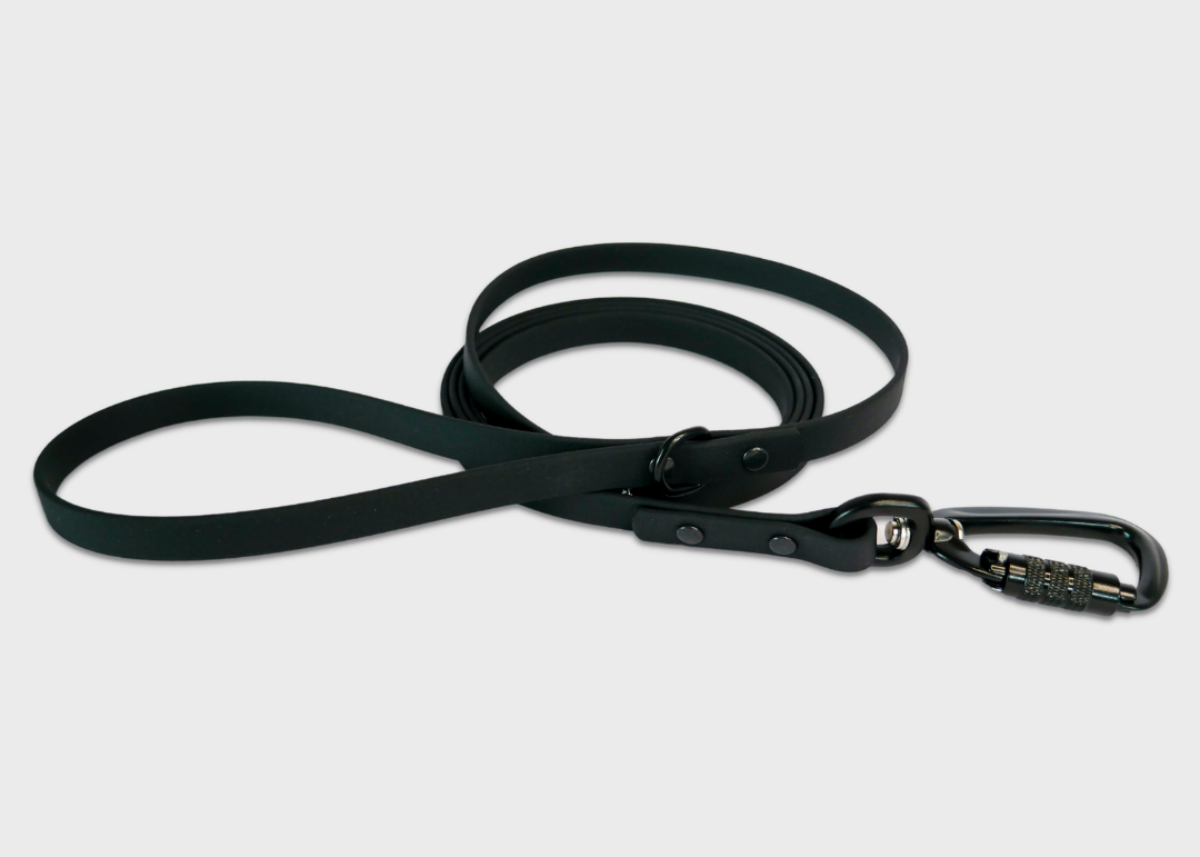 City Leash (2 meters)