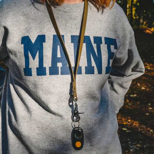 Lanyard