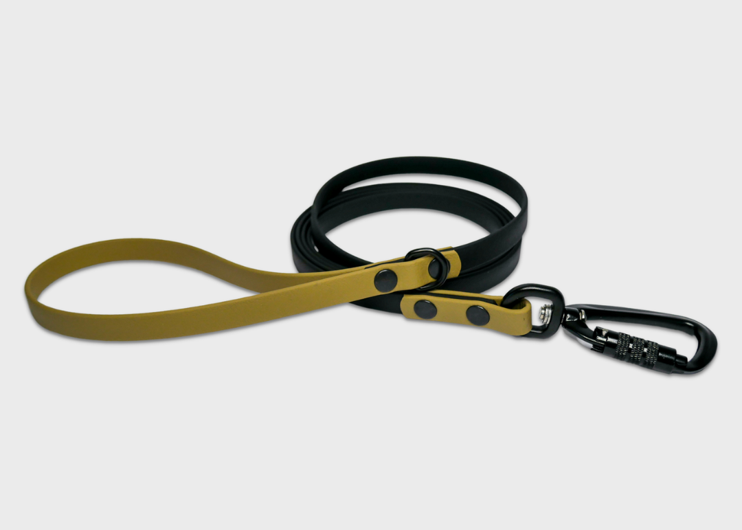 City Leash (2 meters)