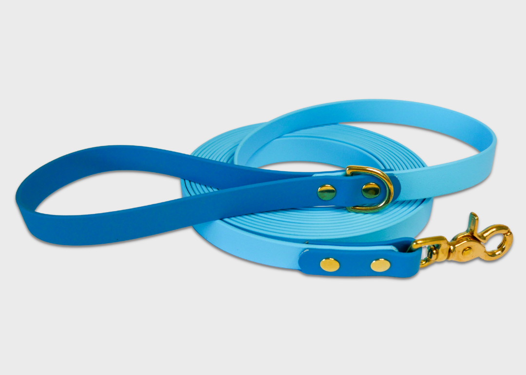 Trail Leash (5 meters)