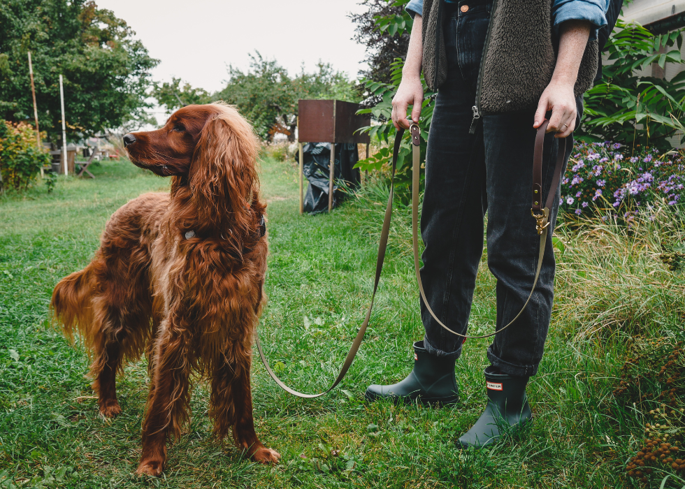 Multi Leash (4-in-1)