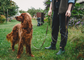 Multi Leash | 4-in-1