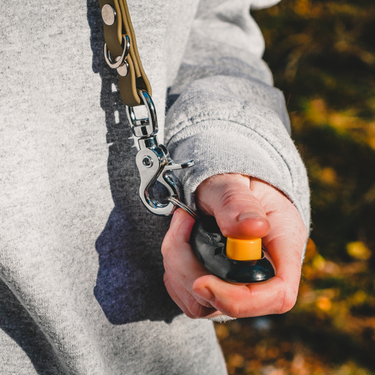 Lanyard