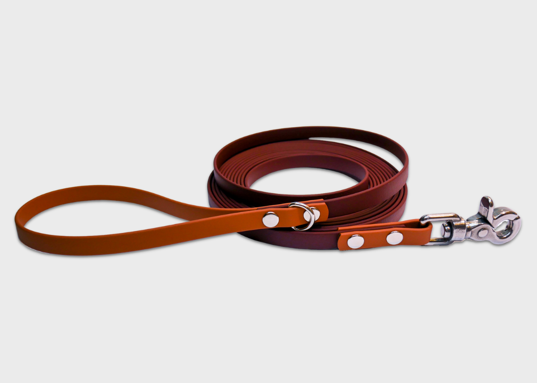 Trail Leash (5 meters)