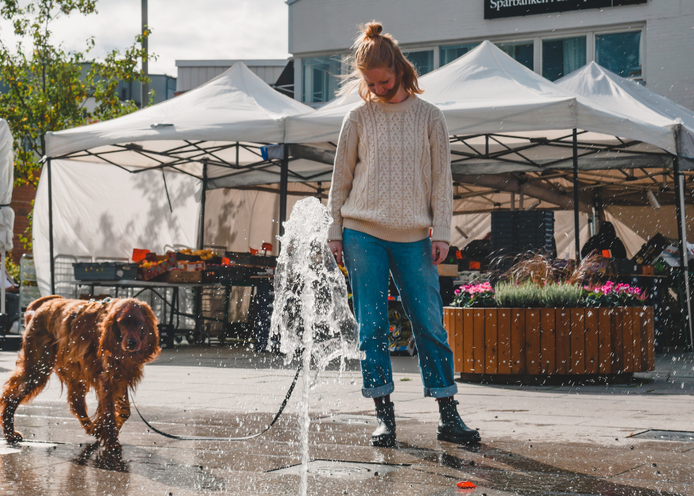 City Leash (2 meters)