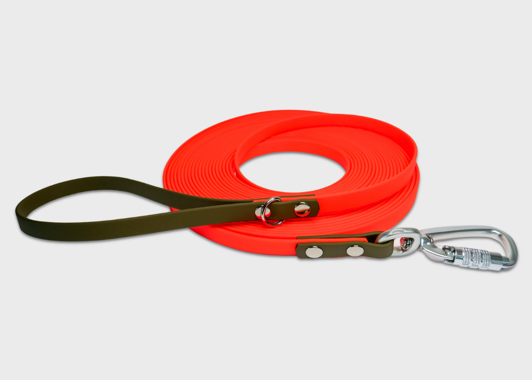 Field Leash (10 meters)