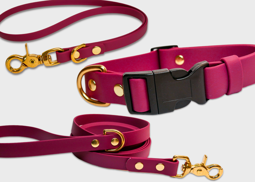 Adjustable Collar