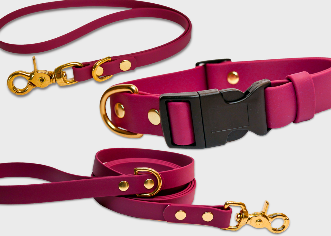 Lanyard