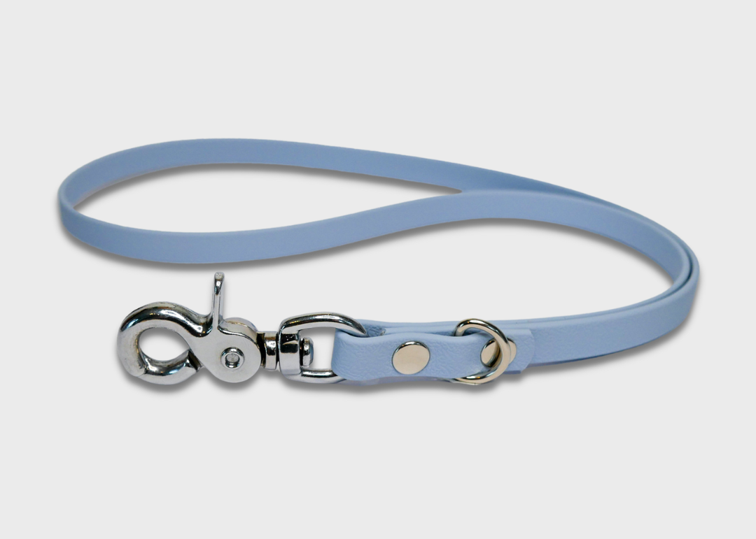 Lanyard